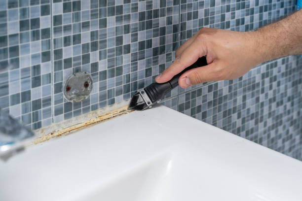 Best Residential Mold Remediation in West Yarmouth, MA